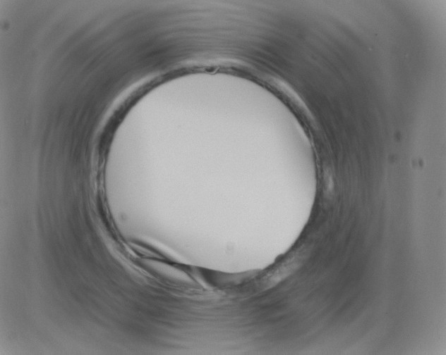 X0000082701124200702232223