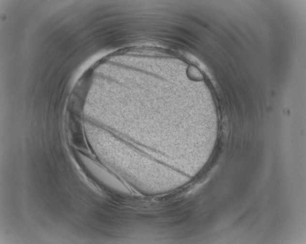 X0000082701125200702232223