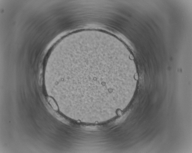 X0000082701126200702232223