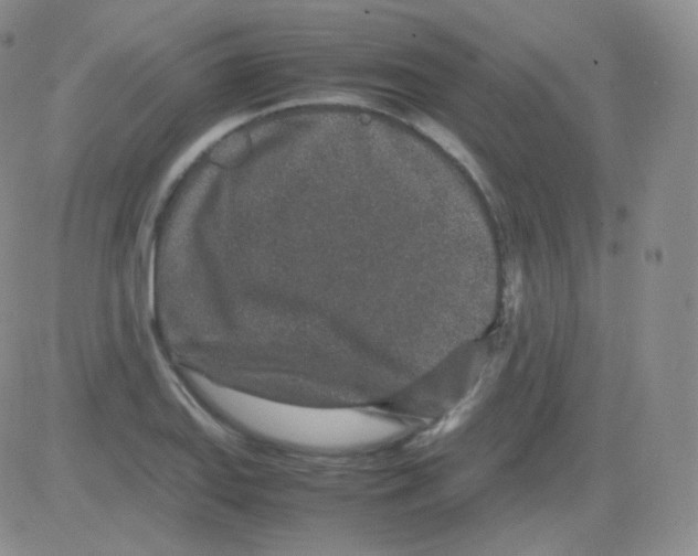 X0000082701127200702232223