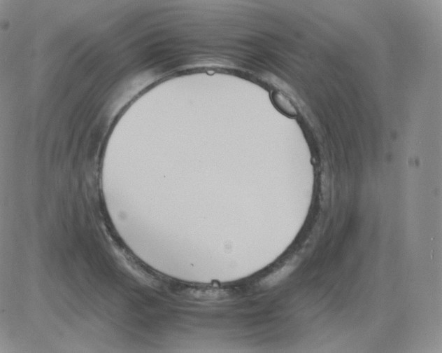 X0000082701129200702232223