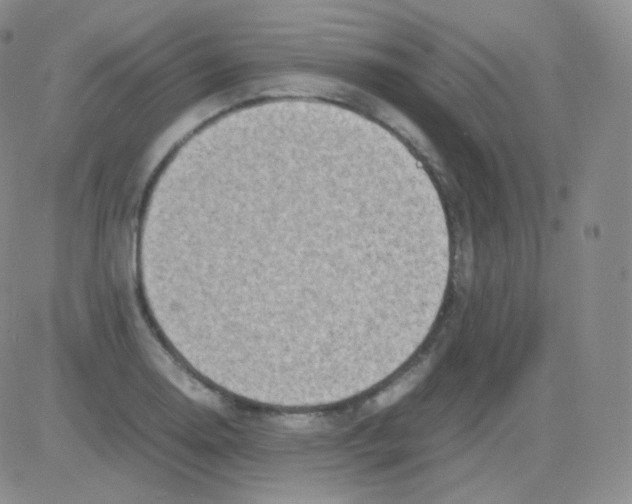 X0000082701130200702232223