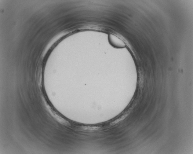 X0000082701131200702232223