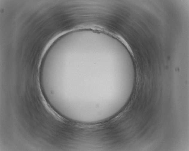 X0000082701132200702232223