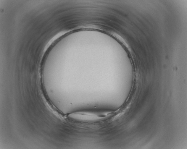 X0000082701133200702232223