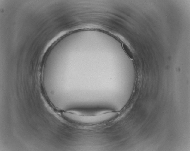 X0000082701134200702232223