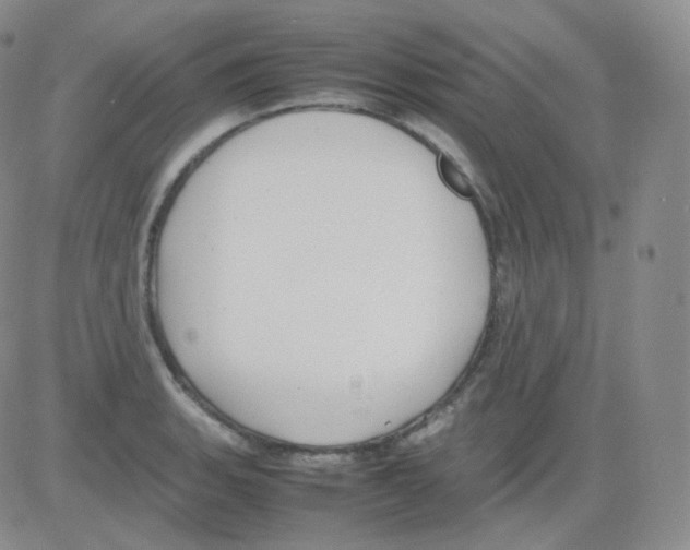 X0000082701135200702232223