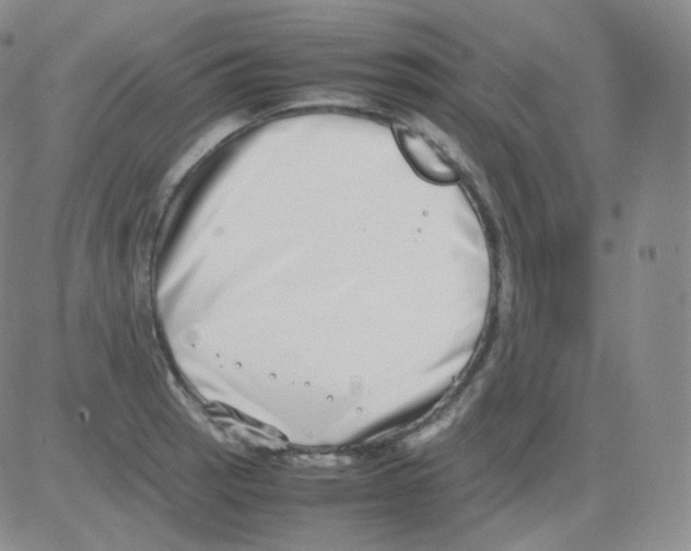 X0000082701137200702232223