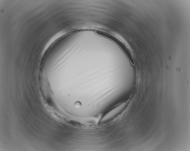 X0000082701138200702232223