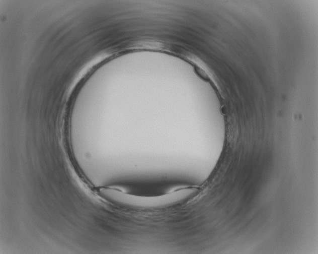 X0000082701139200702232223