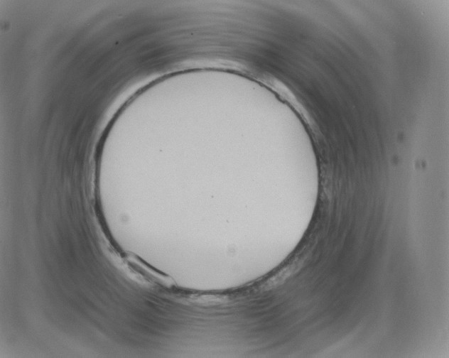 X0000082701140200702232223