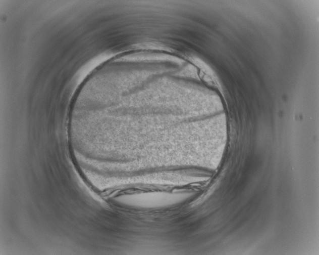 X0000082701141200702232223