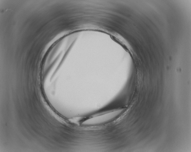 X0000082701142200702232223