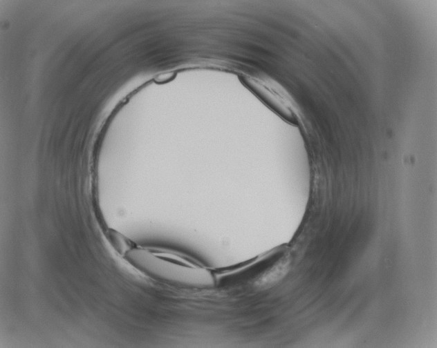 X0000082701143200702232223