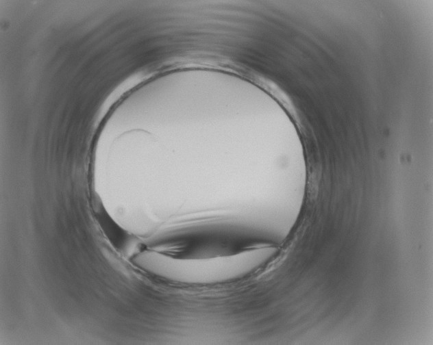 X0000082701146200702232224