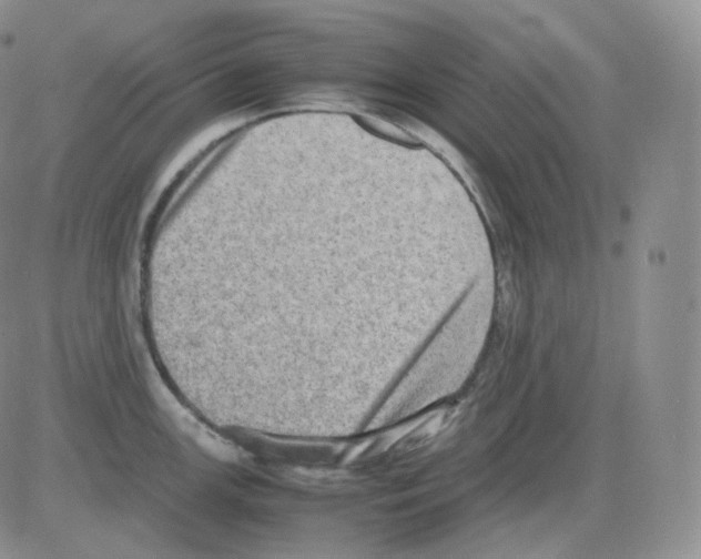 X0000082701147200702232224