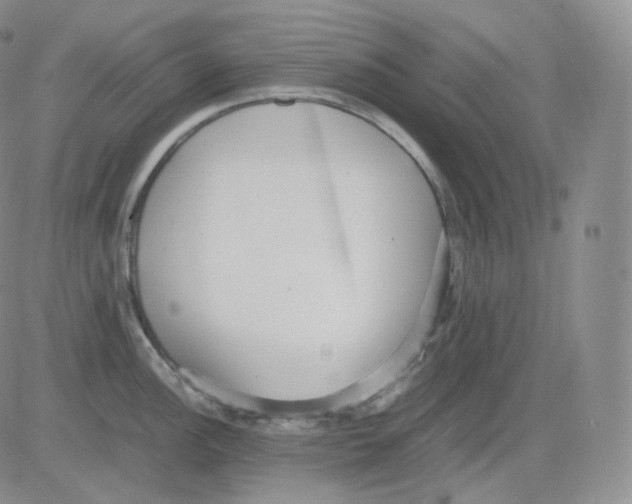 X0000082701148200702232224