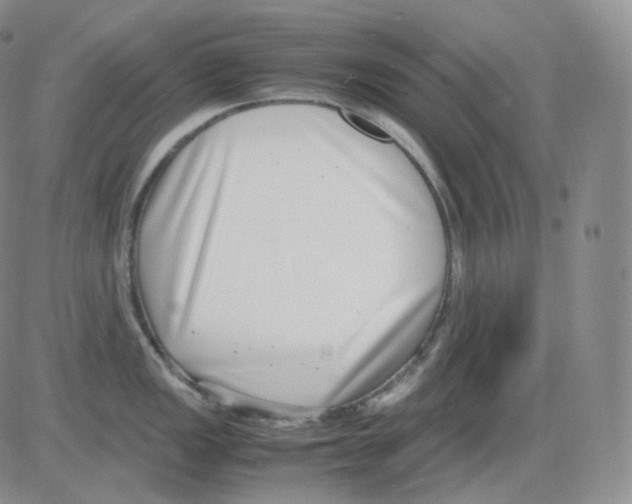 X0000082701149200702232224