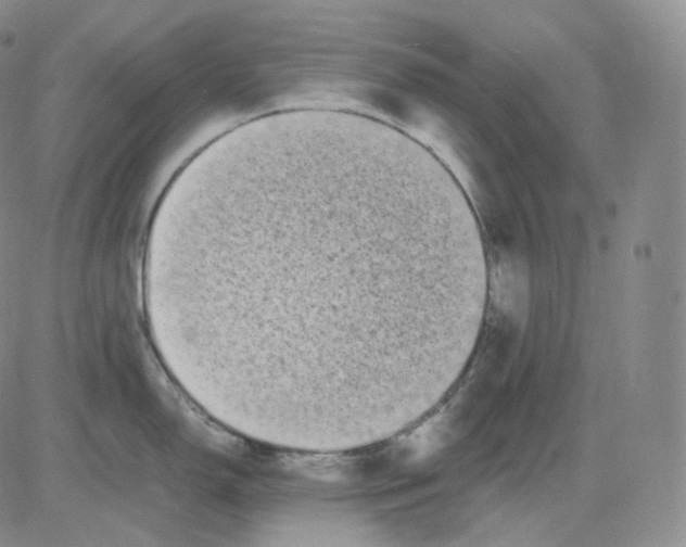 X0000082701150200702232224