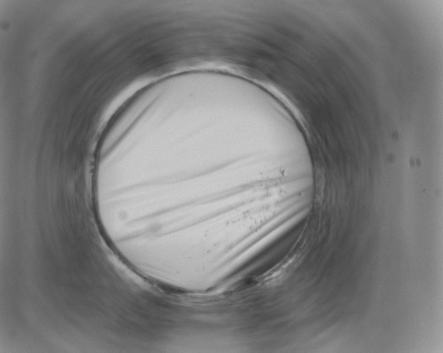 X0000082701151200702232224