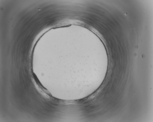 X0000082701152200702232224