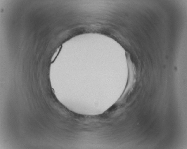 X0000082701153200702232223