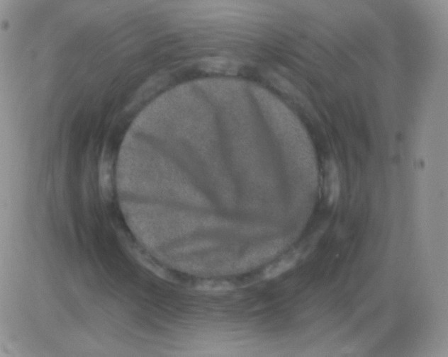 X0000082701154200702232223