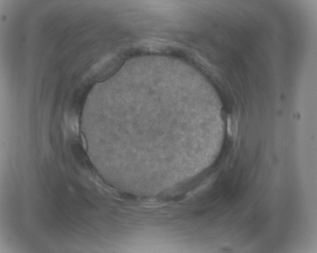 X0000082701155200702232223