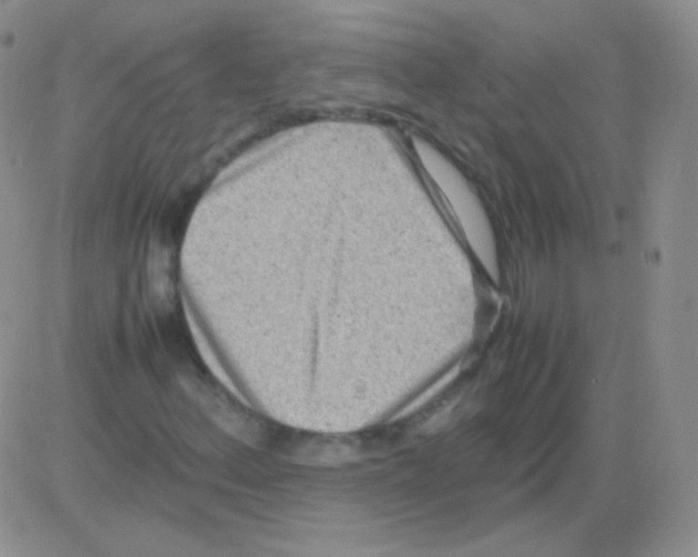 X0000082701156200702232223