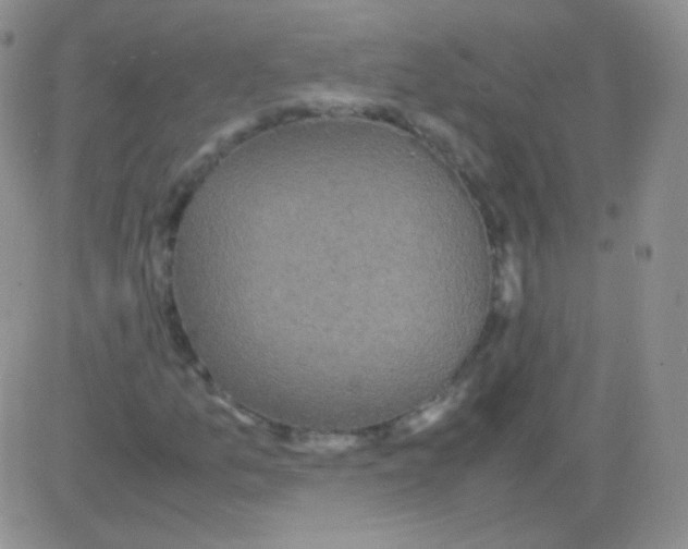 X0000082701157200702232223