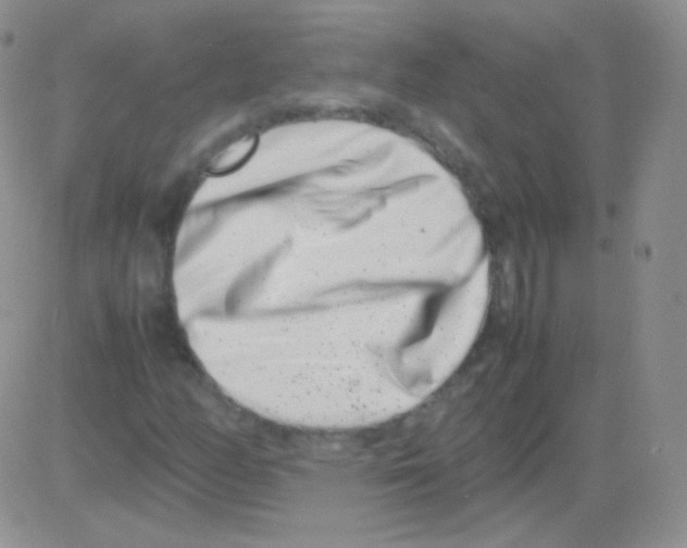 X0000082701158200702232223