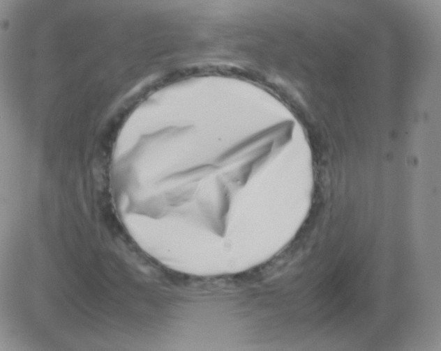 X0000082701159200702232223