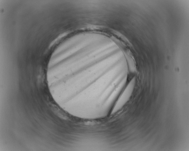 X0000082701160200702232223