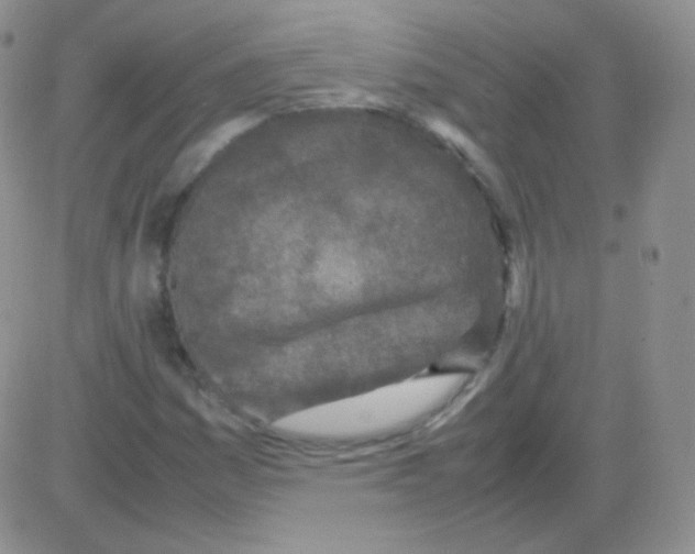 X0000082701161200702232223