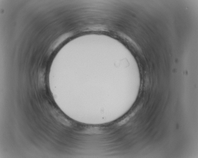 X0000082701162200702232223