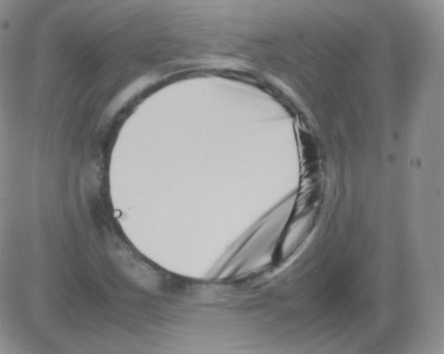 X0000082701163200702232223