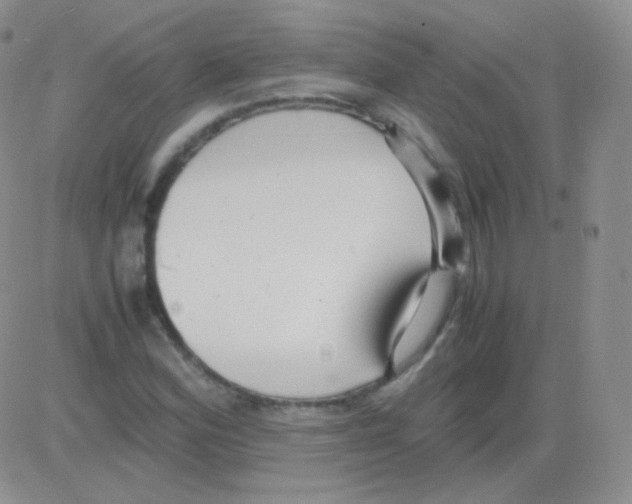 X0000082701164200702232223