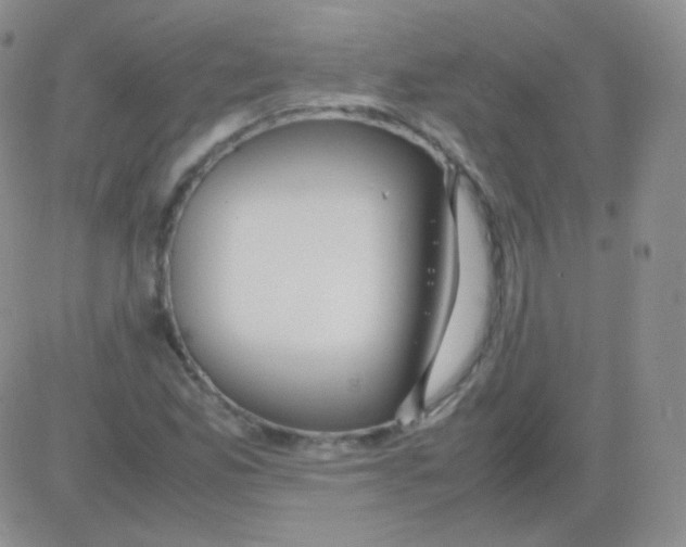 X0000082701165200702232223