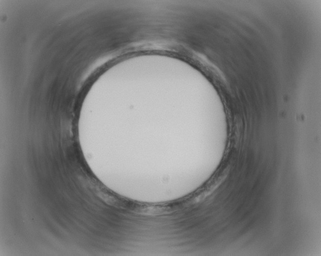 X0000082701166200702232223