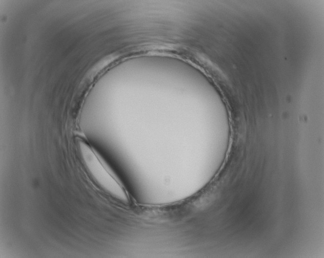 X0000082701169200702232223