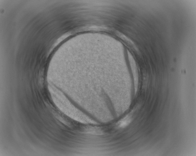 X0000082701170200702232223