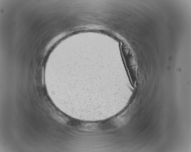 X0000082701171200702232223