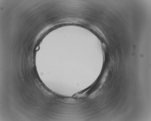 X0000082701172200702232222