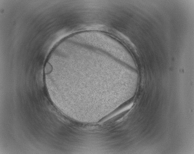 X0000082701174200702232222