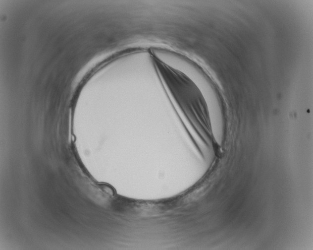 X0000082701175200702232222