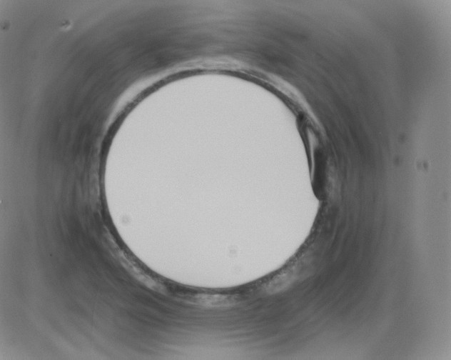 X0000082701176200702232222