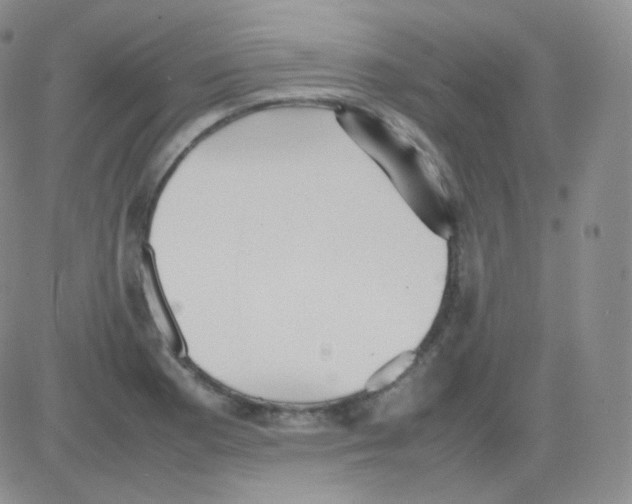 X0000082701177200702232222