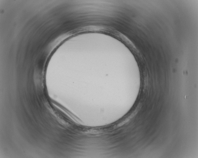 X0000082701178200702232222