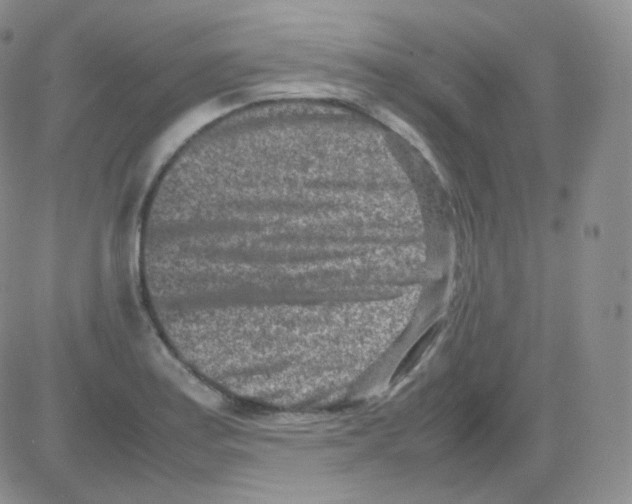 X0000082701179200702232222