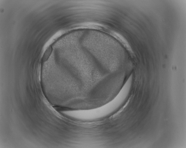 X0000082701180200702232222